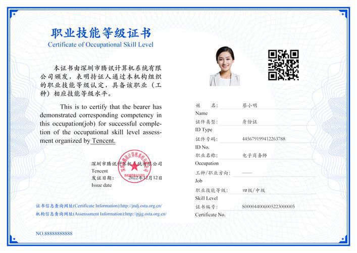 跨境电商b2c数据运营职业技能等级证书