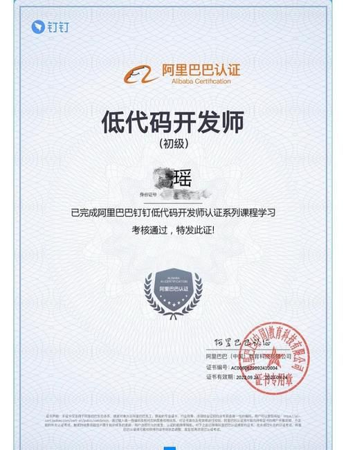 阿里巴巴跨境电商B2B数据运营1 X证书